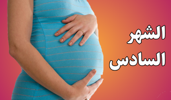 وزن بطن الحامل في الشهر السادس كم وزن الجنين في الشهر السادس